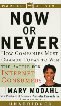 Image of Now or Never: How Companies Must Change Today to Win the battle for internet consumers