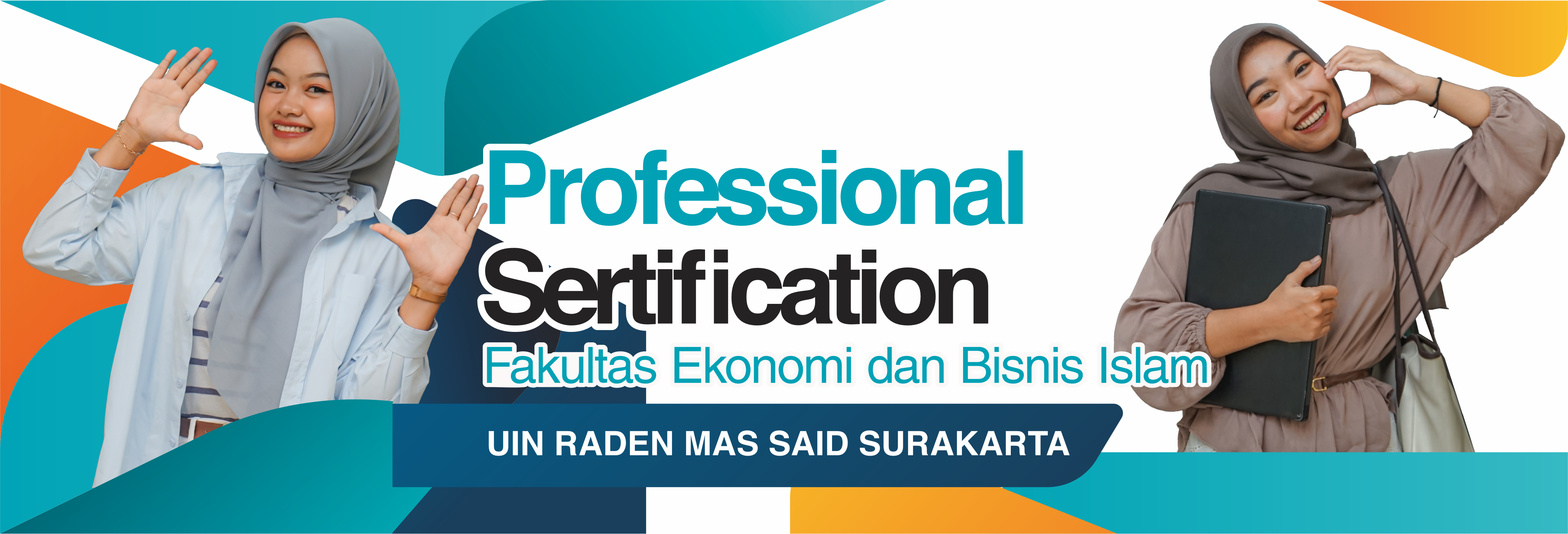 Professional-Sertification