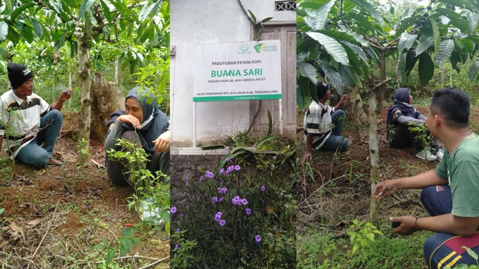 Pemberdayaan-Petani-Wonosobo