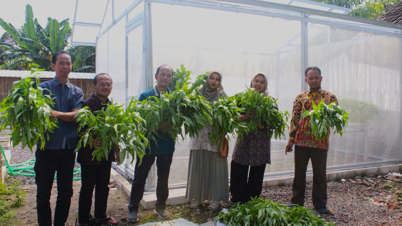 Gelar Panen Raya Perdana Urban Farming